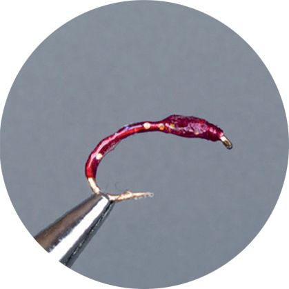 Crown Serie, Coregone Nymph, Metal Red