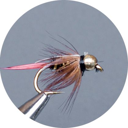 Crown Serie, Brass Nymph, Gh Prince Nymph