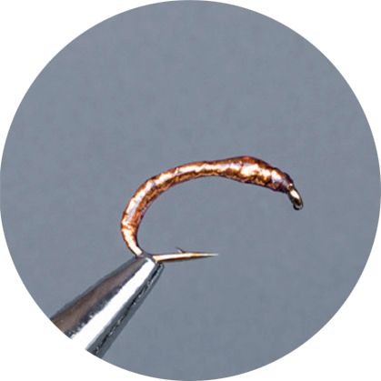 Crown Serie, Coregone Nymph, Metal Copper