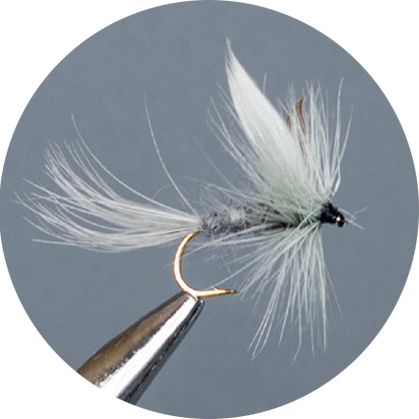 Crown Serie, Parachute​, Caddis