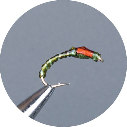 Crown Serie, Coregone Nymph,  Flexi Floss Olive