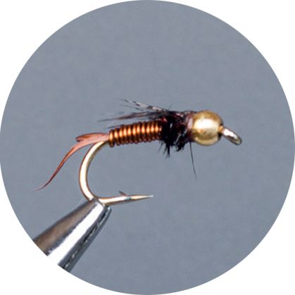 Crown Serie, Brass Nymph, Gh Copper John