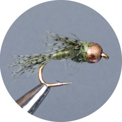 Crown Serie, Tungsten Standard Nymph, Olive Quill