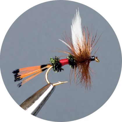 Crown Serie, Parachute​, Royal Coachman
