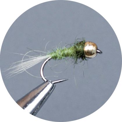 Crown Serie, Tungsten Barbless Nymph, Paleolive Red