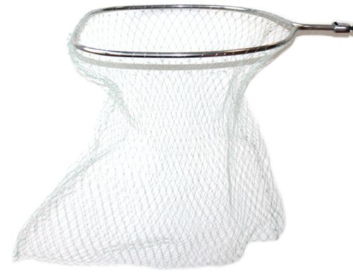 TESTA GUADINO MONOFILO 1