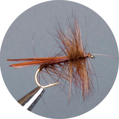 CROWN Serie, WULF, CADDIS &amp; SEDGE, BROWN STONEFLY