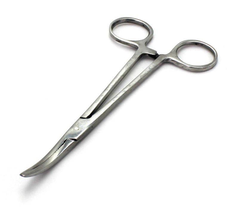 FORBICI INOX CURVE