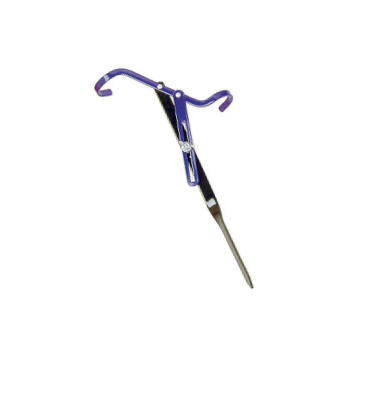 APPOGGIACANNA CORTO