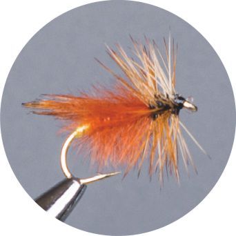 CROWN Serie, STANDARD DRY FLY, HOFLANDS FANCY