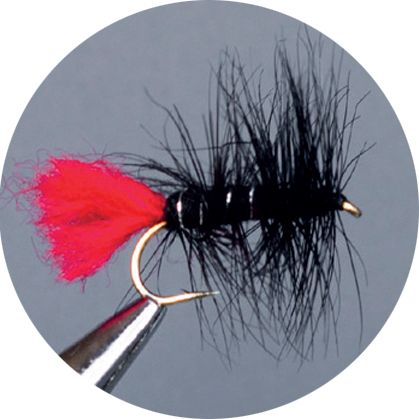 CROWN Serie, STANDARD DRY FLY, BLACK ZULU