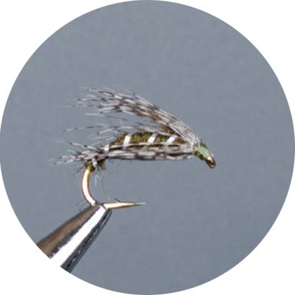 CROWN Serie, STANDARD DRY FLY, GIGI’S FLIES OLIVE