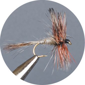 CROWN Serie, STANDARD DRY FLY, GENETIC ADAMS