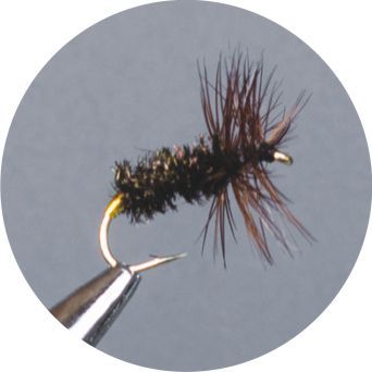 CROWN Serie, STANDARD DRY FLY, COK Y BONDHU