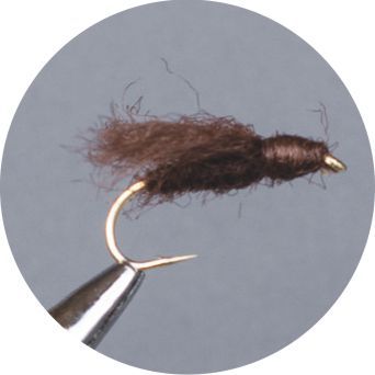 CROWN Serie, STANDARD DRY FLY, RACKELHANEN BROWN