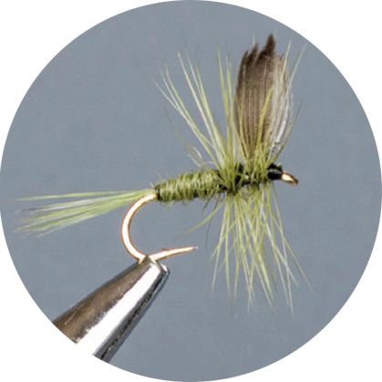 CROWN Serie, STANDARD DRY FLY, OLIVE DUN
