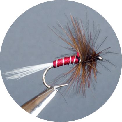 CROWN Serie, STANDARD DRY FLY, CDC RED SPINNER