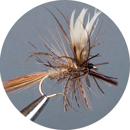 CROWN Serie, STANDARD DRY FLY, MARCH BOWN