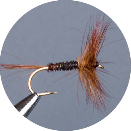 CROWN Serie, STANDARD DRY FLY, PHAESANT TAIL