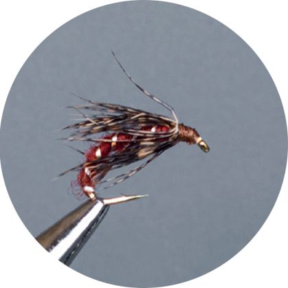 CROWN Serie, STANDARD DRY FLY, GIGI’S FLIES BROWN