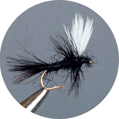 CROWN Serie, STANDARD DRY FLY, THORAX DUN BLACK