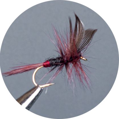 CROWN Serie, STANDARD DRY FLY, IRON BLU DUN