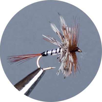CROWN Serie, STANDARD DRY FLY, FRENCH PANAMA
