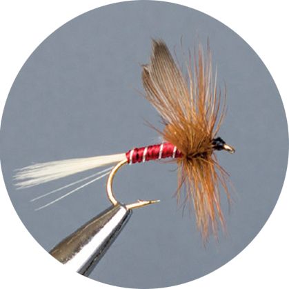 CROWN Serie, STANDARD DRY FLY, RED SPINNER