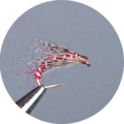 CROWN Serie, STANDARD DRY FLY, GIGI’S FLIES RED