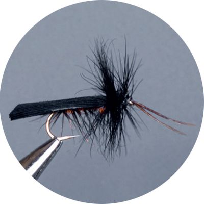 Crown Serie, Wulf, Caddis &amp; Sedge, Black Roof W Sedge