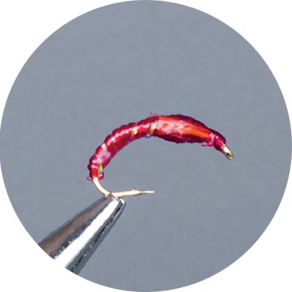 Crown Serie, Coregone Nymph,  Flexi Floss Red