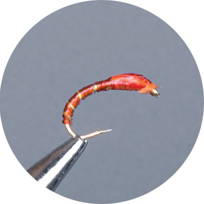 Crown Serie, Coregone Nymph,  Flexi Floss Orange