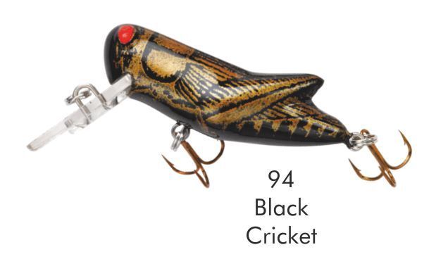REBEL Serie, CRICKHOPPER
