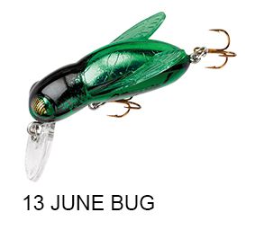 REBEL Serie, BUMBLEBUG