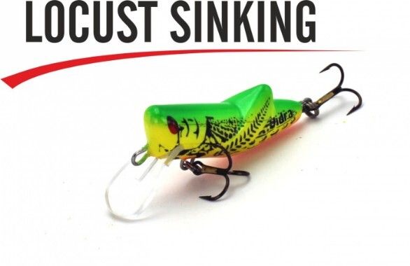 VIDRA ARTIFICIALI Serie, LOCUST SINKING