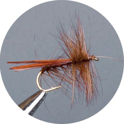 CROWN Serie, WULF, CADDIS & SEDGE, BROWN STONEFLY
