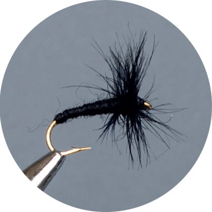 CROWN Serie, STANDARD DRY FLY, BLACK SPIDER