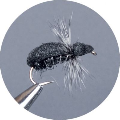 CROWN Serie, TERRESTRIAL, BLACK BEETLE