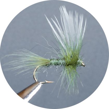 CROWN Serie, STANDARD DRY FLY, THORAX DUN OLIVE/GREY