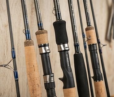 Canne da Pesca