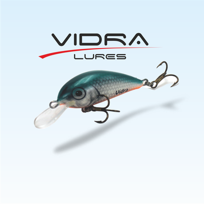 Vidra Hard Baits