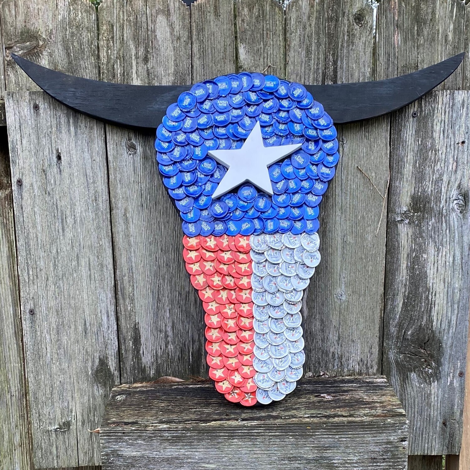 Texas Steer