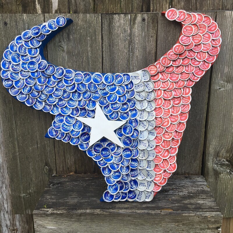 Houston Texans