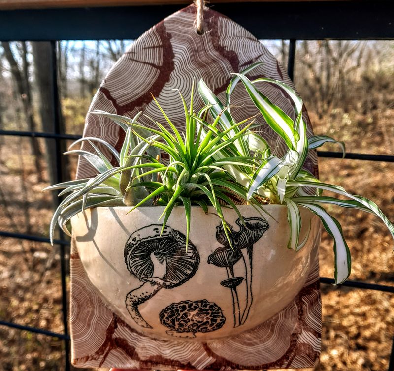 Pitch Haus- Thursday Wet Clay Decorative Plant Pockets 6/25 6-8pm Pitch Haus- Thursday Wet Clay Decorative Plant Pockets 6/25 6-8pm