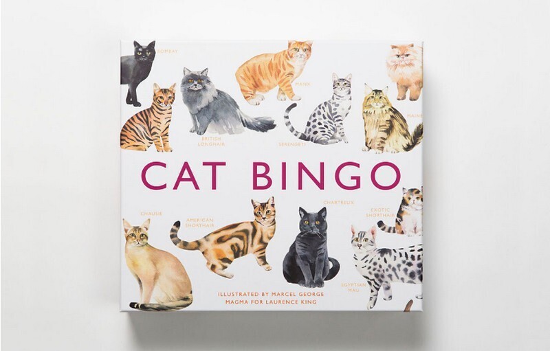 Katzen-Bingo (englisch)
