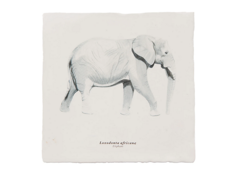 Deko Fliese Elefant