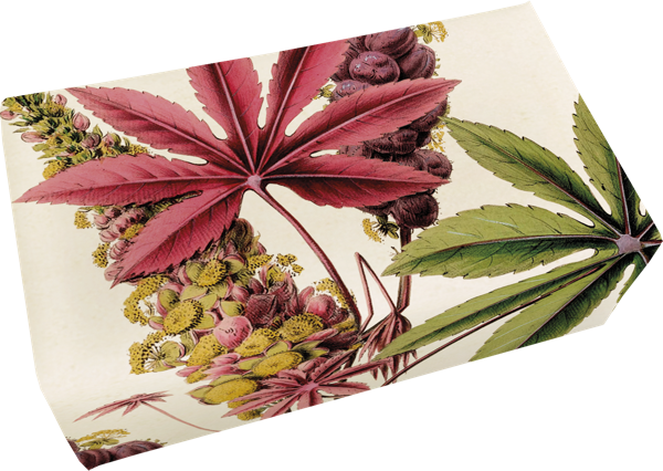Seife Duft Apfelsinenblüte