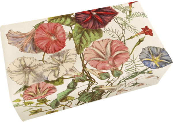 Seife Duft Tulpe