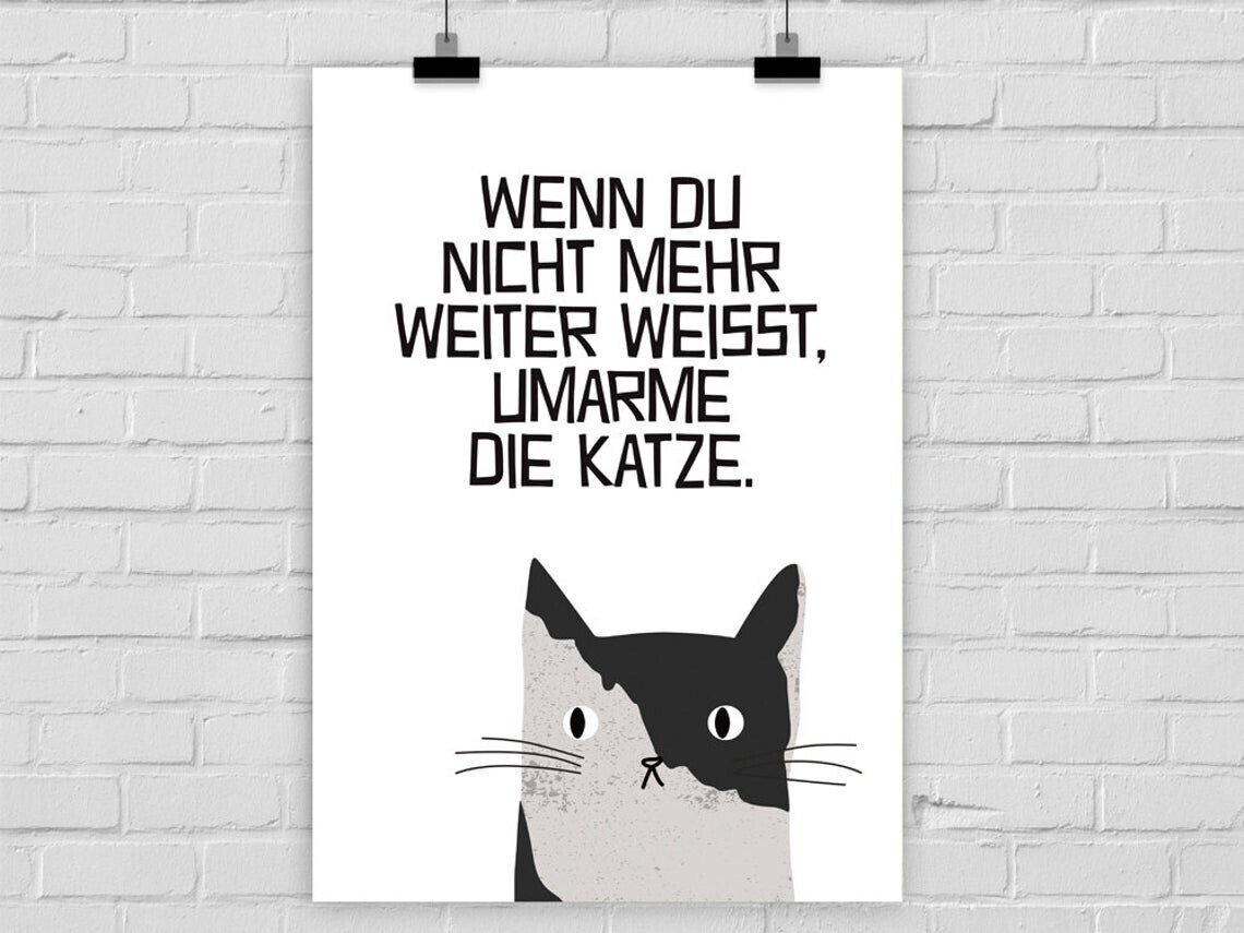 Fine Art Print Katze