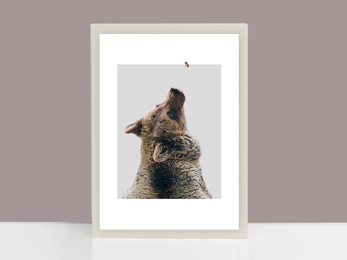 Fine Art Print Bär